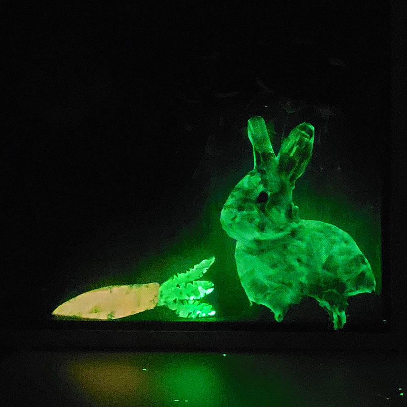 uv-bilder