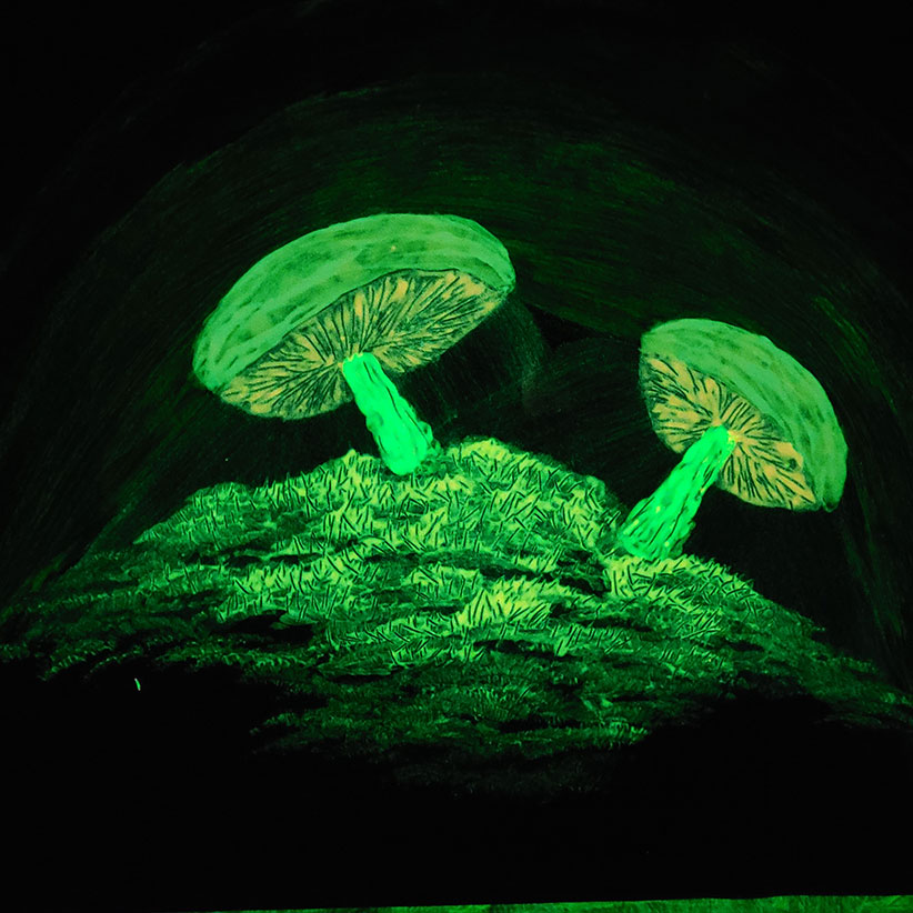 uv-bilder